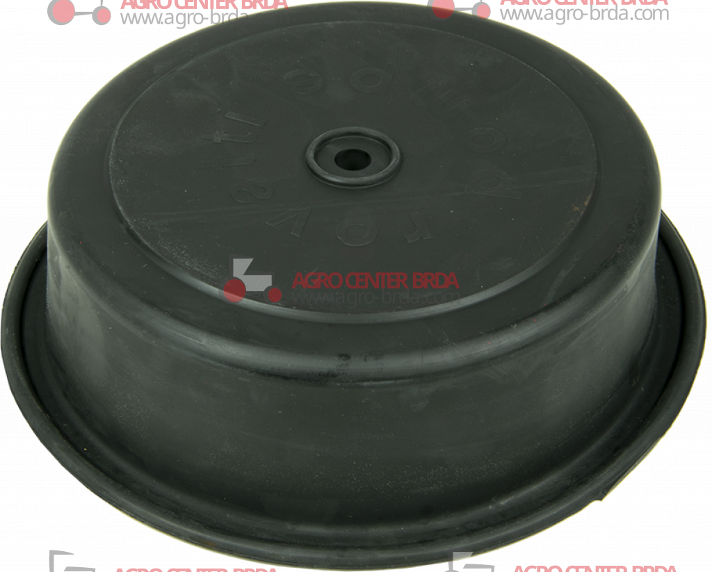Diaphragm