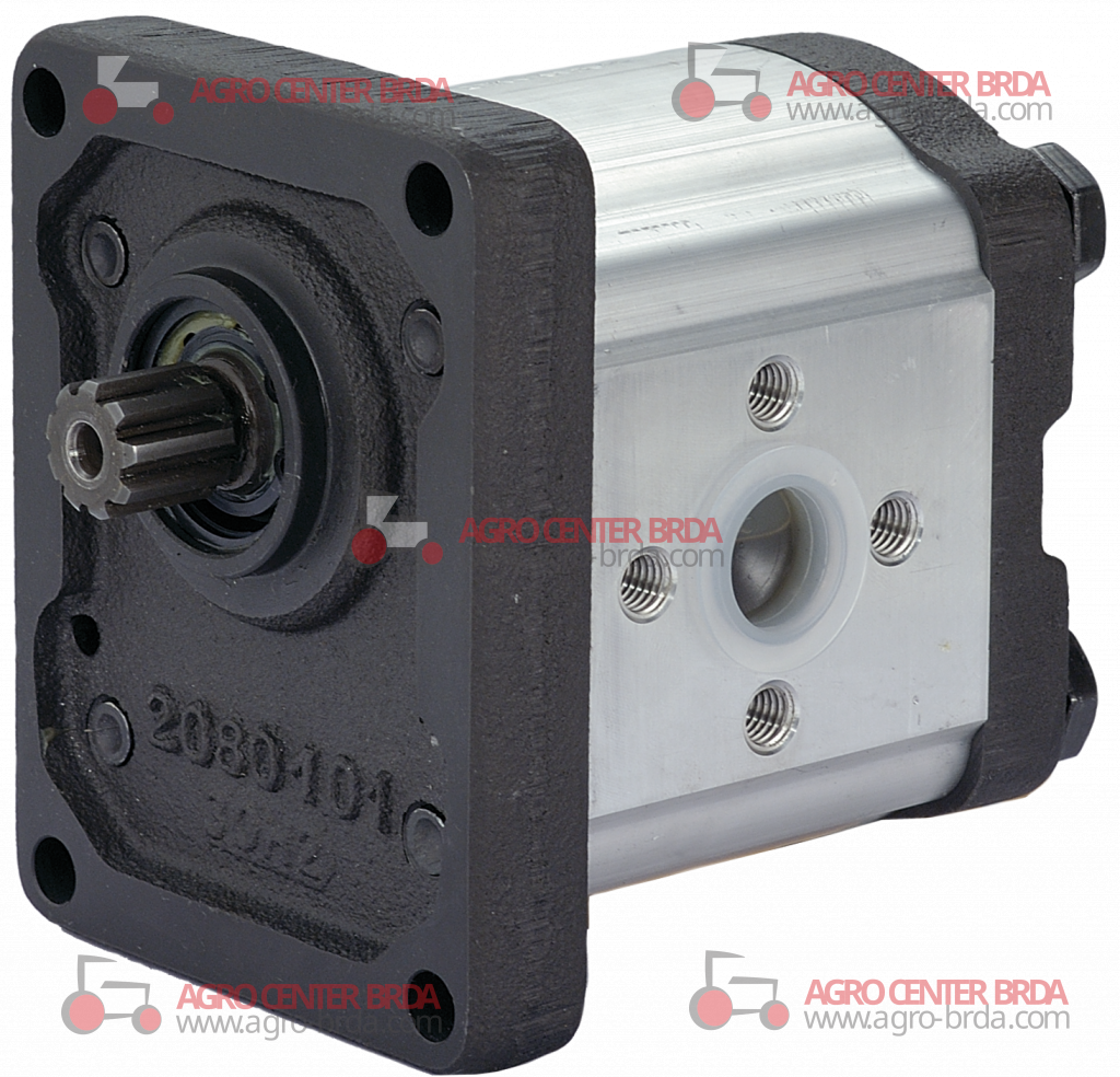 GEAR PUMPS - GROUP 2 - STANDARD TYPE - SPLINED SHAFT - FOR SAME AND VARIED - 19 cm3, right