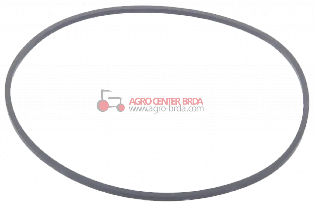 anello quad-ring 169,2x3,5