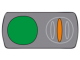 Neutral Green symbol