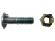 vite con dado M12x40 con nasello   