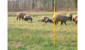 Electric netting for sheep - CLASSICNET