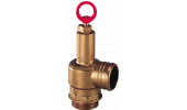 SECURITY VALVES WITH HOSE CONNECTION